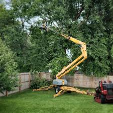 Best Commercial Tree Services  in Lwa, CA